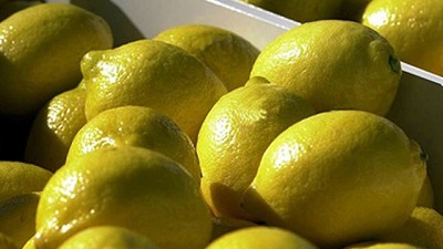 Limones: Macri escuchó planteos de los productores