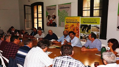 Fuerte crecimiento de los establecimientos apícolas habilitados