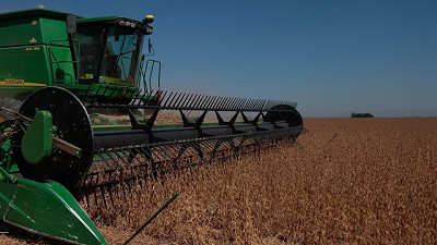 Golpe a la soja: por la sequía, el rinde promedio nacional sería el más bajo en 6 años