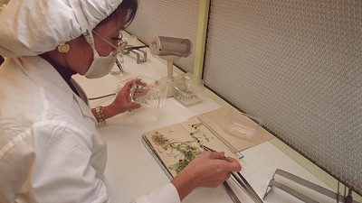 Insumos: ganadores y perdedores de la mayor ola de integración