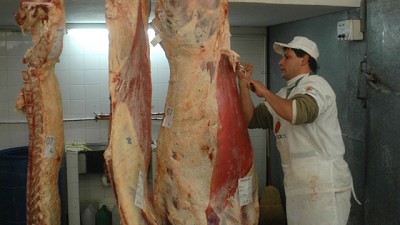 Ganadería: qué pasaría si se elimina el peso mínimo de faena