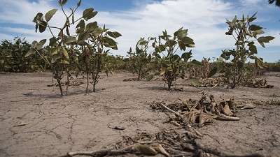 La sequía se cortó, los problemas no