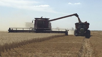 Cuenta regresiva para el vencimiento de Ganancias