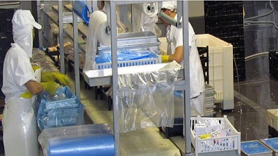 Pesca: Avanza la implementación del Sistema de Certificación Sanitaria electrónica