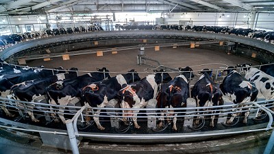 Última semana para la entrega de los trabajos de investigación de genética de bovinos de leche