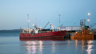 Aprueban el Protocolo de Calidad para la merluza negra