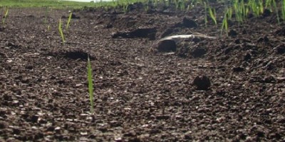 El resguardo del suelo se transformó en el reto del siglo