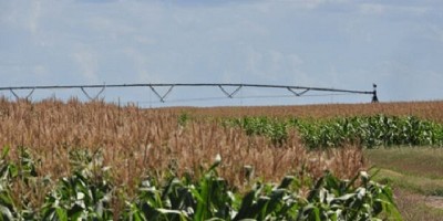 Frente a un clima variable, el riego maximiza los rindes agrícolas
