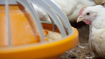 El Senasa sumó nuevos trámites online a la plataforma TAD