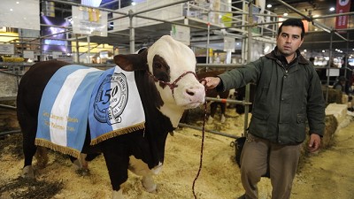 Interna en la Sociedad Rural: los unos y los otros