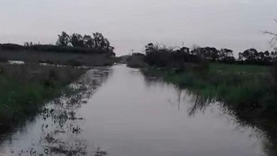 Sin tregua: de la sequía a caminos intransitables y daños en la soja por las lluvias