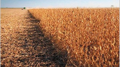 Activan nuevo registro que busca empezar a desburocratizar el campo