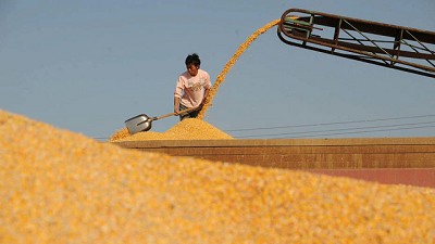 Lo que viene... la riqueza dormida del agro chino, por Jorge Castro
