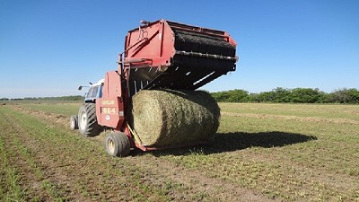 La maquinaria forrajera es un sector en constante evolución