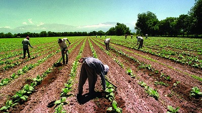 Las Economías Regionales piden tasas y tarifas diferenciales