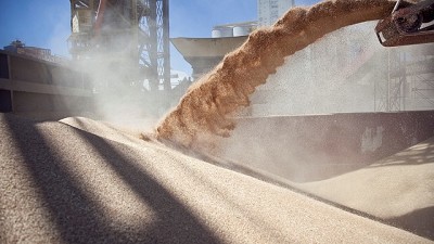 Aseguran que la cadena triguera generará U$S 3.600 millones el año próximo