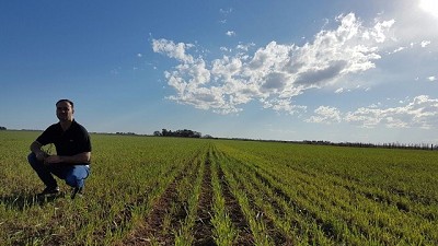 Las variables que se debe analizar para definir el planteo triguero