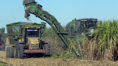 Caña de azúcar: un combo de tecnologías para dar otro salto de productividad