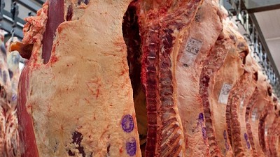 Etchevehere busca cerrar el acuerdo por la carne con China