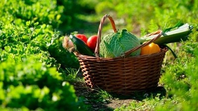 Del precio en góndola, lo que captan los productores agropecuarios bajó a 22,8%