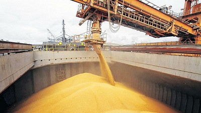 Exportadores de granos aseguran que no hay especulación en la liquidación de divisas