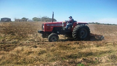 Aconsejan destruir los rastrojos de algodón inmediatamente después de cosechar