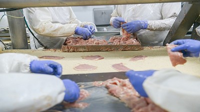 Registro Fiscal de Operadores de la Cadena Porcina 