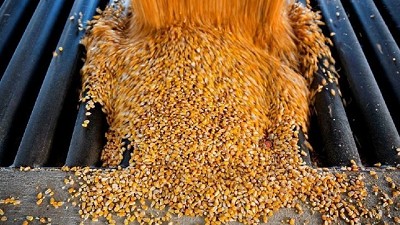 Congreso de Maizar: el horizonte de un cultivo en plena expansión