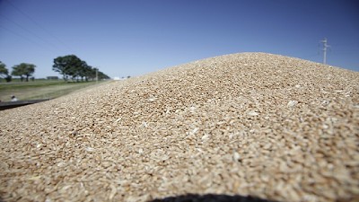 Se estableció el Controlador Electrónico de Molienda de Trigo