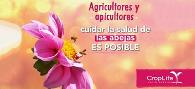 Día Mundial de las Abejas