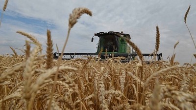 Las provincias que más ganan con el dólar alto: Córdoba, Santa Fe y La Pampa