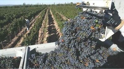 Nuevas medidas apoyan exportacion de alimentos