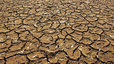 Declaran la emergencia agropecuaria en Córdoba por sequía