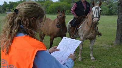 Anemia infecciosa equina: Prevención y controles sanitarios