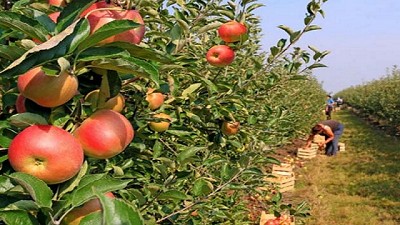 El Reino Unido aportará 5 millones de libras para investigación en la agricultura argentina