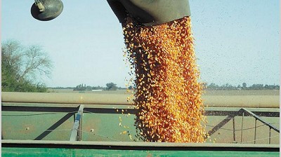 China reanudará compras de soja y petróleo desde Estados Unidos