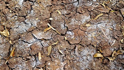 Agroindustria declaró la emergencia agropecuaria por sequía en Corrientes y Santiago del Estero