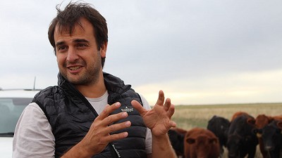 How Argentina is producing beef for EU export