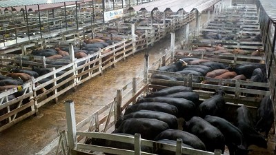 Mercado de Liniers: las ventas del fin de semana motivaron a la demanda
