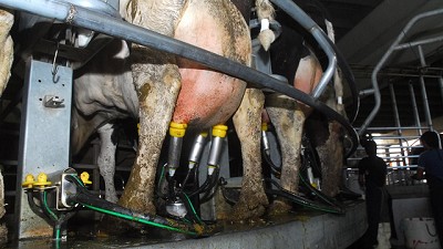 Tamberos analizan una movilización a Plaza de Mayo