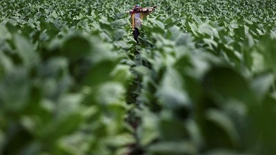 Una por una, en qué situación se encuentra cada economía regional