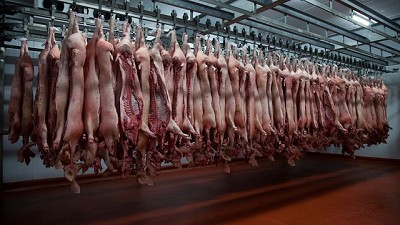 Nuevas medidas en el sector porcino para combatir la evasión