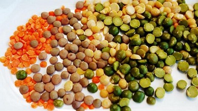 Presentaron el relevamiento de información en la Cadena de Frutos Secos