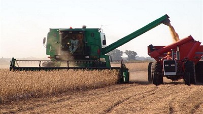 La trilla de soja llegó al 90 % del área apta a escala nacional