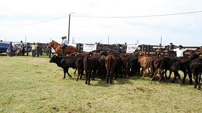 Argentina exportará semen bovino a Kenia