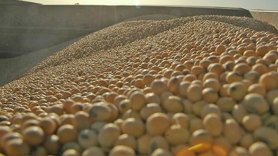 Fuerte descenso del valor de la soja, el maíz y el trigo en los Estados Unidos