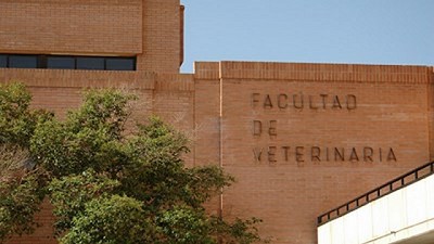 En las universidades públicas, el 74% no se recibe a tiempo y la mitad no aprueba más de una materia por año