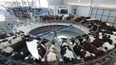 App para calcular los costos del tambo