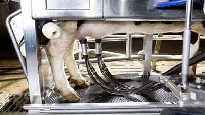 Aumentan los tambos robot en el país