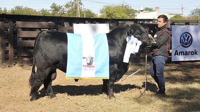 Nivel de lujo para la 49° Gran Nacional de Brangus